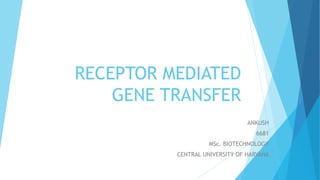 RECEPTOR MEDIATED
GENE TRANSFER
ANKUSH
6681
MSc. BIOTECHNOLOGY
CENTRAL UNIVERSITY OF HARYANA
 