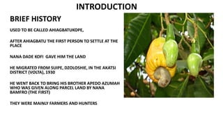 INTRODUCTION
BRIEF HISTORY
USED TO BE CALLED AHIAGBATUKOPE,
AFTER AHIAGBATU THE FIRST PERSON TO SETTLE AT THE
PLACE
NANA DADE KOFI GAVE HIM THE LAND
HE MIGRATED FROM SUIPE, DZOLOSHIE, IN THE AKATSI
DISTRICT (VOLTA), 1930
HE WENT BACK TO BRING HIS BROTHER APEDO AZUMAH
WHO WAS GIVEN ALONG PARCEL LAND BY NANA
BAMFRO (THE FIRST)
THEY WERE MAINLY FARMERS AND HUNTERS
 