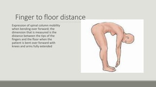 Finger to floor distance
Expression of spinal column mobility
when bending over forward; the
dimension that is measured is the
distance between the tips of the
fingers and the floor when the
patient is bent over forward with
knees and arms fully extended
 