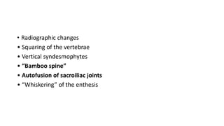 • Radiographic changes
• Squaring of the vertebrae
• Vertical syndesmophytes
• “Bamboo spine”
• Autofusion of sacroiliac joints
• “Whiskering” of the enthesis
 