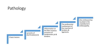 Pathology
2 basic lesions:
synovitis of
diarthrodial jts &
inflammation at
the fibro-osseous
junctions of
syndesmotic jts &
tendons.
The preferential
involvement of
the insertion of
tendons &
ligaments
(the entheses) has
resulted in the
unwieldy term
enthesopathy.
 