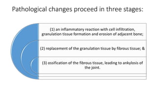 Pathological changes proceed in three stages:
(1) an inflammatory reaction with cell infiltration,
granulation tissue formation and erosion of adjacent bone;
(2) replacement of the granulation tissue by fibrous tissue; &
(3) ossification of the fibrous tissue, leading to ankylosis of
the joint.
 