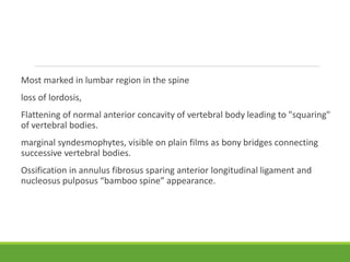 Most marked in lumbar region in the spine
loss of lordosis,
Flattening of normal anterior concavity of vertebral body leading to "squaring"
of vertebral bodies.
marginal syndesmophytes, visible on plain films as bony bridges connecting
successive vertebral bodies.
Ossification in annulus fibrosus sparing anterior longitudinal ligament and
nucleosus pulposus “bamboo spine” appearance.
 