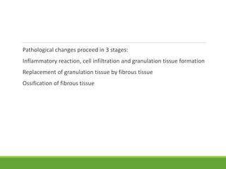 Pathological changes proceed in 3 stages:
Inflammatory reaction, cell infiltration and granulation tissue formation
Replacement of granulation tissue by fibrous tissue
Ossification of fibrous tissue
 
