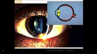 12 December 2020Ratankhuman (M.P.T., Ortho & Sports)29
 