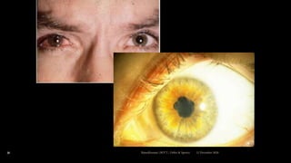 12 December 2020Ratankhuman (M.P.T., Ortho & Sports)30
 