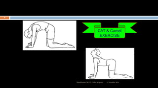CAT & Camel
EXERCISE
12 December 2020Ratankhuman (M.P.T., Ortho & Sports)
96
 