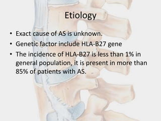 Etiology
• Exact cause of AS is unknown.
• Genetic factor include HLA-B27 gene
• The incidence of HLA-B27 is less than 1% in
general population, it is present in more than
85% of patients with AS.
 