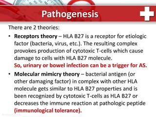 ProPowerPoint.Ru
Pathogenesis
There are 2 theories:
• Receptors theory – HLA B27 is a receptor for etiologic
factor (bacteria, virus, etc.). The resulting complex
provokes production of cytotoxic T-cells which cause
damage to cells with HLA B27 molecule.
So, urinary or bowel infection can be a trigger for AS.
• Molecular mimicry theory – bacterial antigen (or
other damaging factor) in complex with other HLA
molecule gets similar to HLA B27 properties and is
been recognized by cytotoxic T-cells as HLA B27 or
decreases the immune reaction at pathologic peptide
(immunological tolerance).
 