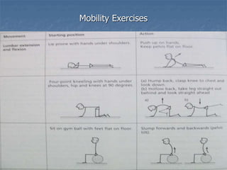 Mobility Exercises
 