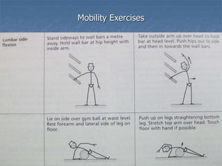 Mobility Exercises
 