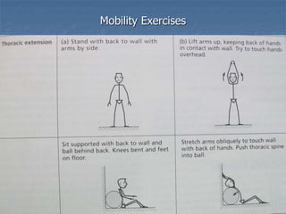 Mobility Exercises
 