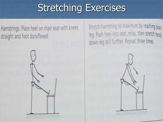 Stretching Exercises
 
