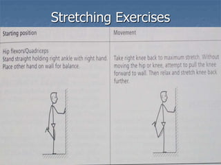 Stretching Exercises
 