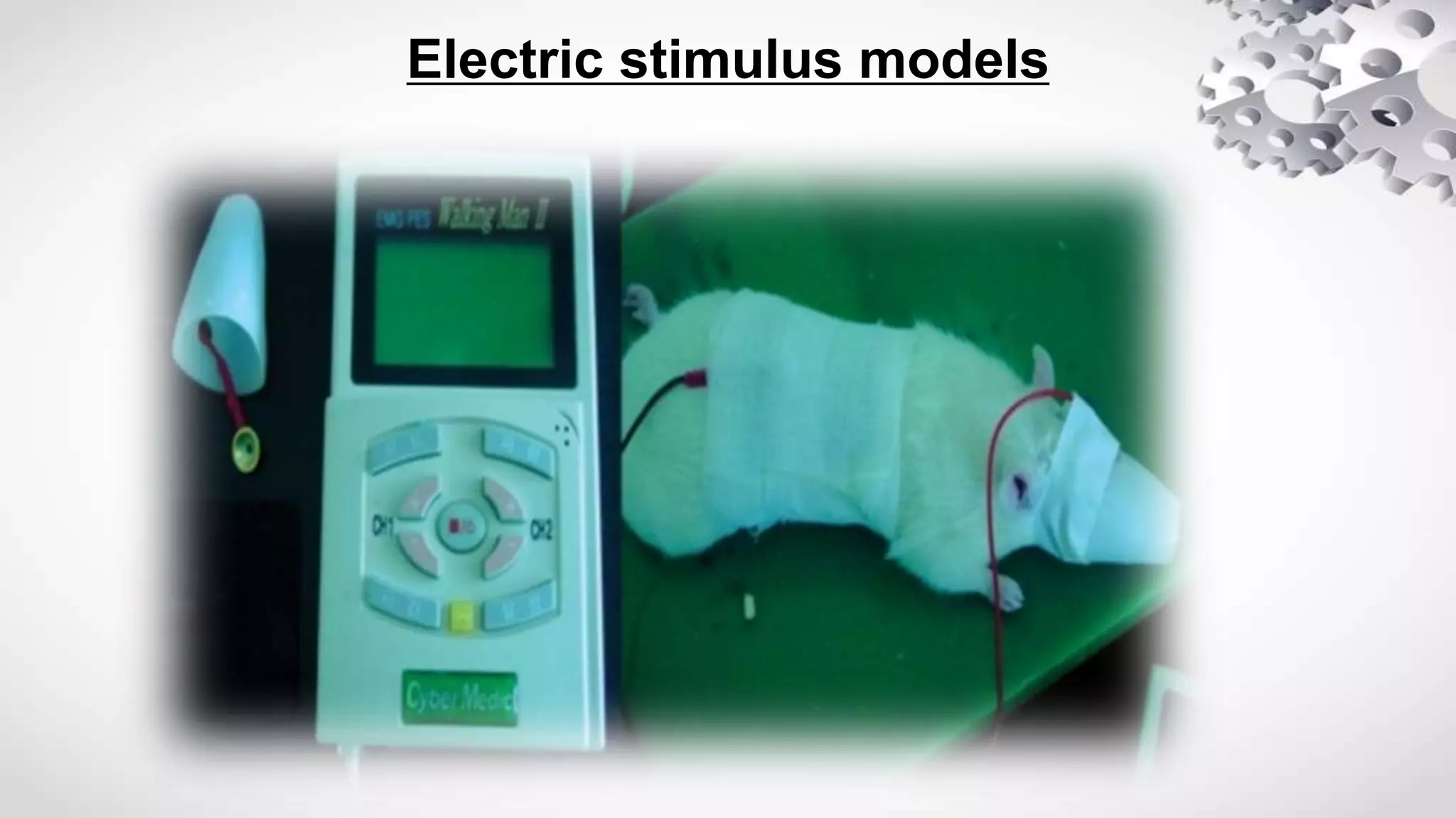 Electric stimulus models
 