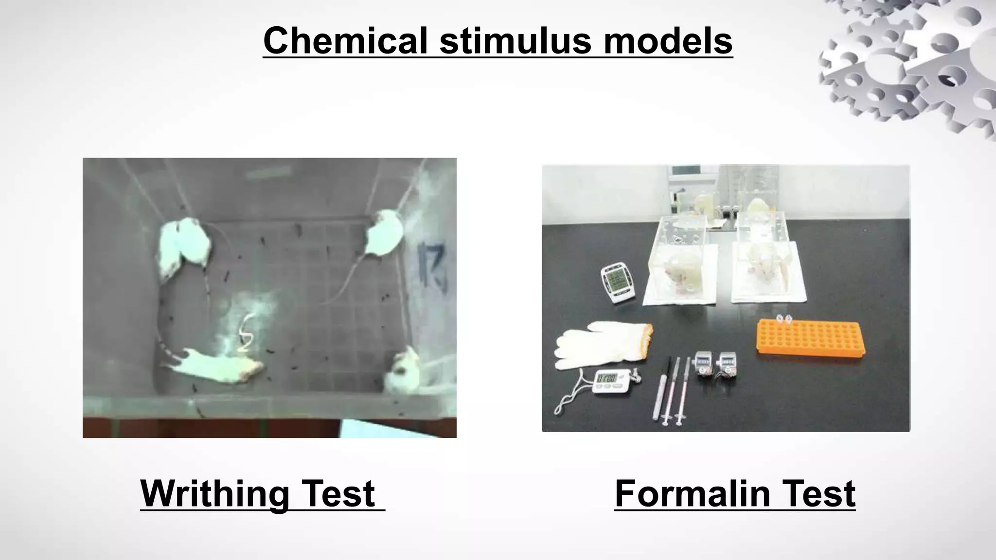Chemical stimulus models
Writhing Test Formalin Test
 