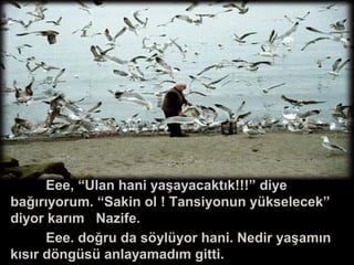 Eee, “Ulan hani yaşayacaktık!!!” diye
bağırıyorum. “Sakin ol ! Tansiyonun yükselecek”
diyor karım Nazife.
Eee. doğru da söylüyor hani. Nedir yaşamın
kısır döngüsü anlayamadım gitti.
 