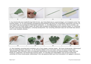 9                         10                           11                            12

9. Aus Küchenrolle eine tropfenförmige Rolle formen, das Hosta-Blatt darum zusammenlegen und mindestens einen Tag
trocknen lassen. 10. Für die Grashalme dunkelgrünen Blumendraht 22g leicht mit Zuckerkleber einstreichen und eine ca.
2cm große Kugel aus dunkelgrüner Blütenpaste aufstecken. 11. Die Blütenpaste zu einer dünnen Wurst ausrollen, auf
einer Seite ca. 2cm Draht stehen lassen, die obere Seite komplett mit Blütenpaste dünn auslaufen lassen. 12. Vorsichtig
mit dem V140 Veiner Mais Blattgrün / Universal strukturieren. Nur vorsichtig andrücken dass sich die Enden des Veiners
nicht in den Grashalm drücken.




                13                        14                           15                            16

13. Den Grashalm vorsichtig leicht eindrehen und in Form biegen, trocknen lassen. Mit Caros Zuckerzauber „Blütenstaub“
Kiwi und wenig Moosgrün colorieren. 14. Die Monstera-Blätter vorne und hinten intensiv mit Caros Zuckerzauber
„Blütenstaub“ Efeu colorieren, leicht mit Aubergine akzentuieren und vorsichtig mit Lebensmittellack (z.Bsp. Ruth bei
Fessler.at ) besprühen. Auf Küchenrolle trocknen lassen. 16. Die Rillen der Hosta-Blätter noch auf der Küchenrolle
vorsichtig mit Caros Zuckerzauber „Blütenstaub“ Kiwi, das gesamte Blatt (auch die Innenseiten) mit Jagdgrün colorieren.



Seite 4 von 7                                                                                      © by Caros Zuckerzauber
 