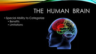 • Special Ability to Categorize
• Benefits
• Limitations
THE HUMAN BRAIN
 
