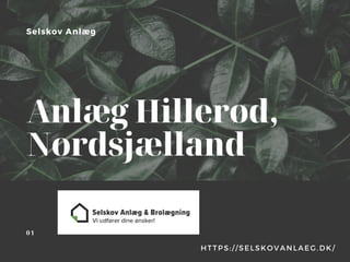 Selskov Anlæg
Anlæg Hillerød,
Nordsjælland
HTTPS://SELSKOVANLAEG.DK/
01
 