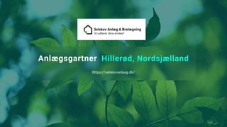 Anlægsgartner Hillerød, Nordsjælland
https://selskovanlaeg.dk/
 