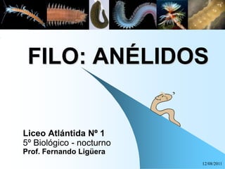 12/08/2011 FILO: ANÉLIDOS Liceo Atlántida Nº 1  5º Biológico - nocturno Prof. Fernando Ligüera 