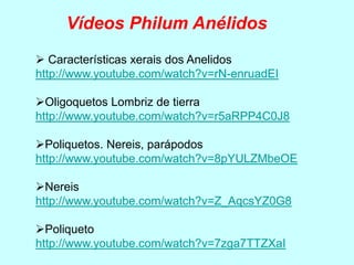 Características xerais dos Anelidos
http://www.youtube.com/watch?v=rN-enruadEI
Oligoquetos Lombriz de tierra
http://www.youtube.com/watch?v=r5aRPP4C0J8
Poliquetos. Nereis, parápodos
http://www.youtube.com/watch?v=8pYULZMbeOE
Nereis
http://www.youtube.com/watch?v=Z_AqcsYZ0G8
Poliqueto
http://www.youtube.com/watch?v=7zga7TTZXaI
Vídeos Philum Anélidos
 