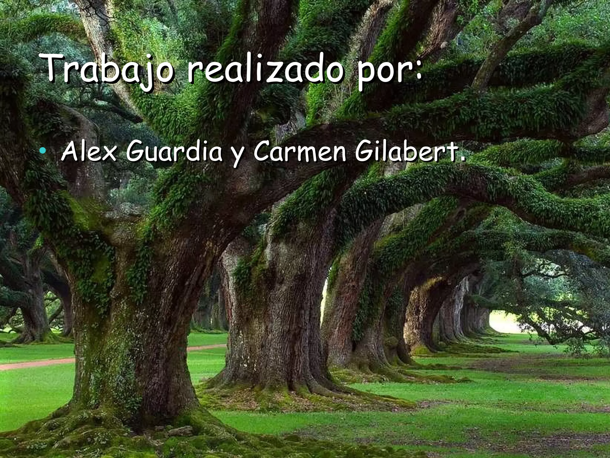 Trabajo realizado por: Alex Guardia y Carmen Gilabert . 