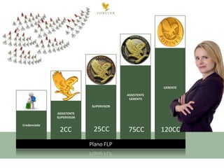 NOVO
EMPREENDEDOR

NOVO
EMPREENDEDOR

NOVO
EMPREENDEDOR

GERENTE
ASSISTENTE
GERENTE

NOVO
EMPREENDEDOR
SUPERVISOR
ASSISTENTE
SUPERVISOR
Credenciado

2CC

25CC
Plano FLP

75CC

120CC

 