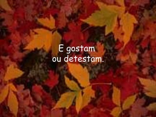 E gostam
ou detestam.
 