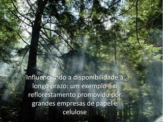 Influenciando a disponibilidade a
longo prazo: um exemplo é o
reflorestamento promovido por
grandes empresas de papel e
celulose

 