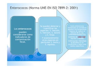 Los enterococos
pueden
considerarse como
indicadores de
contaminación
fecal.
Se pueden detectar y
cuantificar las
especies: S. faecalis,
S. faecium, S. durans
y S. hirae.
Y ocasionalmente
otras especies en
particular S. bovis y
S. equinus.
Como enterococos
intestinales se consideran
aquellos microorganismos
capaces de reducir el
cloruro de 2,3,5-
trifeniltetrazolio(TTC)
(colonias de color rojo,
marrón o rosado)
Cnfirmación: hidrolizan
la esculina en las
condiciones y sobre unos
medios especificos.
 
