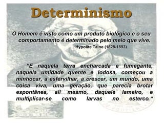 "O Cortiço" - Aluísio de Azevedo