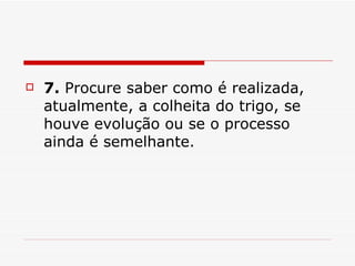 7.  Procure saber como é realizada, atualmente, a colheita do trigo, se houve evolução ou se o processo ainda é semelhante.  