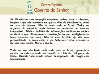 Se 15 minutos sem irrigação sanguínea podem lesar o cérebro,
imagine o que não acontece em quatro dias de falecimento, como
no caso de Lázaro. Não há mais nada a fazer. Todos os
segredos da memória deste homem se perderam de maneira
irreparável. Bilhões, trilhões de informações contidas no córtex
cerebral e que alicerçavam a construção da sua inteligência se
transformaram num caos. Não há mais história de vida nem
personalidade. A única coisa a ser feita era tentar consolar a
dor das suas irmãs, Maria e Marta.
Toda vez que não havia mais nada para se fazer, aparecia o
mestre da vida causando um tumulto nas leis da biologia e da
física. Quando todo mundo estava desesperado, ele reagia com
tranquilidade.
 