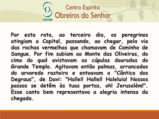 Por esta rota, ao terceiro dia, os peregrinos
atingiam a Capital, passando, ao chegar, pela via
das rochas vermelhas que chamavam de Caminho de
Sangue. Por fim subiam ao Monte das Oliveiras, do
cimo do qual avistavam as cúpulas douradas do
Grande Templo. Agitavam então palmas, arrancadas
do arvoredo rasteiro e entoavam o "Cântico dos
Degraus", de Davi: "Hallel! Hallel! Haleluia! Nossos
passos se detêm às tuas portas, oh! Jerusalém!".
Esse canto bem representava a alegria intensa da
chegada.
 