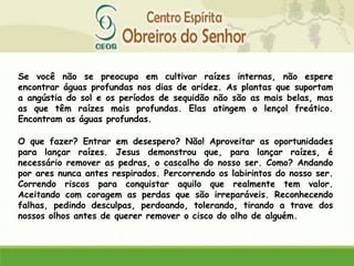 Se você não se preocupa em cultivar raízes internas, não espere
encontrar águas profundas nos dias de aridez. As plantas que suportam
a angústia do sol e os períodos de sequidão não são as mais belas, mas
as que têm raízes mais profundas. Elas atingem o lençol freático.
Encontram as águas profundas.
O que fazer? Entrar em desespero? Não! Aproveitar as oportunidades
para lançar raízes. Jesus demonstrou que, para lançar raízes, é
necessário remover as pedras, o cascalho do nosso ser. Como? Andando
por ares nunca antes respirados. Percorrendo os labirintos do nosso ser.
Correndo riscos para conquistar aquilo que realmente tem valor.
Aceitando com coragem as perdas que são irreparáveis. Reconhecendo
falhas, pedindo desculpas, perdoando, tolerando, tirando a trave dos
nossos olhos antes de querer remover o cisco do olho de alguém.
 