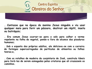 . Contasse que na época do menino Jesus ninguém o viu usar
qualquer meio para ferir um pássaro, destruir um réptil, inseto
ou batráquio;
. Era comum Jesus ccurvar-se para o solo para colher o verme
repelente na folha do vegetal, pondo-o fora do alcance das pisaduras
humanas;
. Sob o espanto dos próprios adultos, ele deliciava-se com a carreira
de formigas supercarregadas de partículas de alimentos ou folhas
tenras;e,
. Com os retalhos de madeira da carpintaria de José, construía túneis
para livrá-las de serem esmagadas pelas criaturas que ali cruzassem os
caminhos.
 