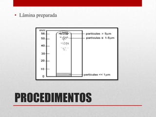• Lâmina preparada




PROCEDIMENTOS
 