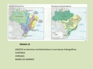 PÁGINA 23
ASSOCIE os domínios morfoclimáticos à suas bacias hidrográficas.
CAATINGA
CERRADO
MARES DE MORROS

 