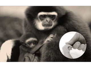 foto: Pedro Biondi . fonte: Agência Brasil
 