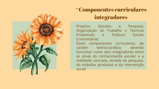 -Componentes curriculares
integradores
Projetos, Estudos e Pesquisa;
Organização do Trabalho e Técnicas
Produtivas; e Práticas Sociais
Comunitárias.
Esses componentes curriculares, de
caráter teórico-prático, deverão
funcionar como elos integradores entre
as áreas do conhecimento escolar e a
realidade concreta, através da pesquisa,
do trabalho produtivo e da intervenção
social
 