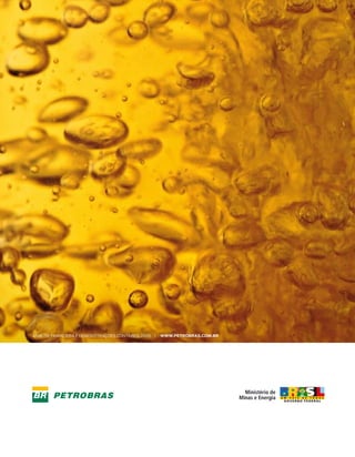 Análise FinAnceirA e DemonstrAções contábeis 2006 |   www.petrobras.com.br
 