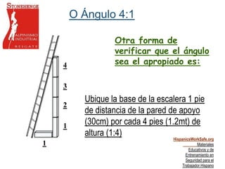 HispanicsWorkSafe.org
Materiales
Educativos y de
Entrenamiento en
Seguridad para el
Trabajador Hispano
1
4
3
2
1
Ubique la base de la escalera 1 pie
de distancia de la pared de apoyo
(30cm) por cada 4 pies (1.2mt) de
altura (1:4)
Otra forma de
verificar que el ángulo
sea el apropiado es:
O Ángulo 4:1
 