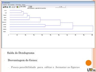 -   Saída do Dendograma

-   Desvantagem do Genes:

    -   Pouca possibilidade para editar e formatar as figuras
 