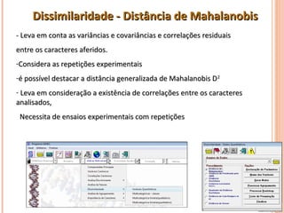 Dissimilaridade - Distância de Mahalanobis
- Leva em conta as variâncias e covariâncias e correlações residuais
entre os caracteres aferidos.
-Considera as repetições experimentais
-é possível destacar a distância generalizada de Mahalanobis D 2
- Leva em consideração a existência de correlações entre os caracteres
analisados,
 Necessita de ensaios experimentais com repetições
 