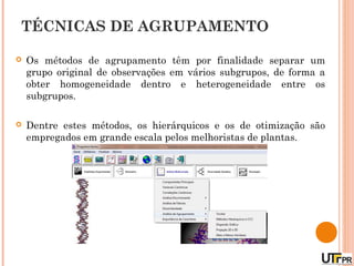 TÉCNICAS DE AGRUPAMENTO

   Os métodos de agrupamento têm por finalidade separar um
    grupo original de observações em vários subgrupos, de forma a
    obter homogeneidade dentro e heterogeneidade entre os
    subgrupos.

   Dentre estes métodos, os hierárquicos e os de otimização são
    empregados em grande escala pelos melhoristas de plantas.
 