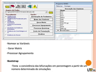 -Nomear as Variáveis
- Gerar Matriz
-Processar Agrupamento

-Bootstrap
    -Testa a consistência das bifurcações em porcentagem a partir de um
    número determinado de simulações
 