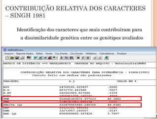 CONTRIBUIÇÃO RELATIVA DOS CARACTERES
– SINGH 1981

  Identificação dos caracteres que mais contribuíram para
   a dissimilaridade genética entre os genótipos avaliados
 