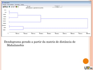 Dendograma gerado a partir da matriz de distância de
 Mahalanobis
 